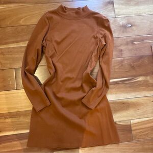 Everlane Mockneck Long-Sleeve Dress